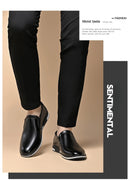 Brand Leather Shoes for Men Designer Loafers High Quality Adult Moccasins Men Driving Shoes Male Footwear Men's Formal Shoes