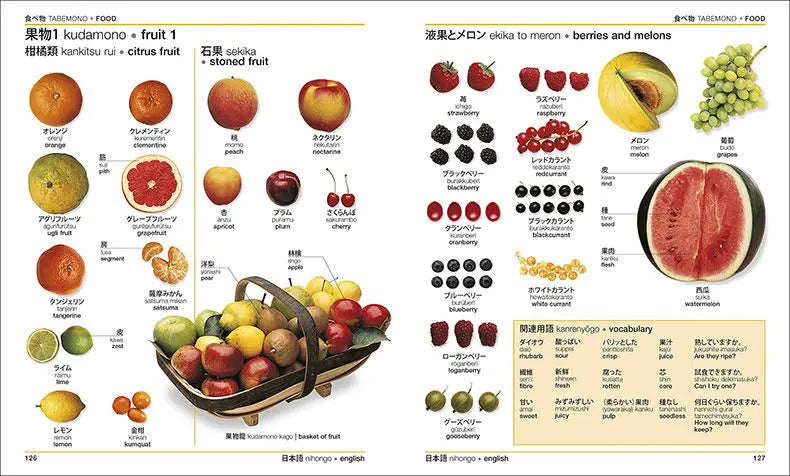 DK Japanese-English Bilingual Visual Graphic Dictionary English Learning Books