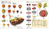 DK Japanese-English Bilingual Visual Graphic Dictionary English Learning Books