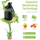 BioloMix Cold Press Juicer with 75mm Feed Chute, 200W 40-65RPM Powerful Motor Slow Masticating Juice Extractor Fits Whole Fruits