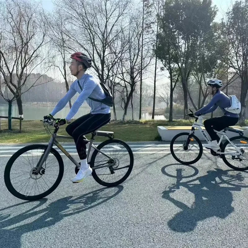 Electric bicycle booster, electric bicycle assist kit