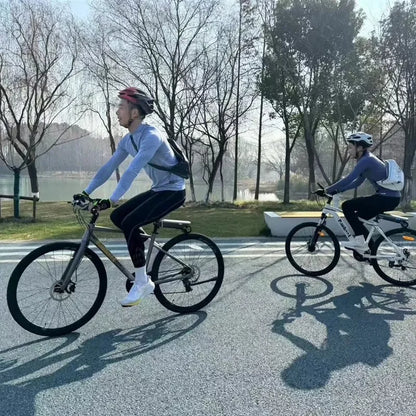 Bicycle electric booster, bicycle electric auxiliary kit