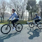 Electric bicycle booster, electric bicycle assist kit