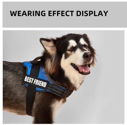 Pet Customizable Harness Vest For Small Medium Large Dog Classic Luxury Walking Dog Harness Adjustable No pull Safe Pet Supplies