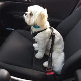 Dog safety leash pet car seat belt dog traction seat belt buffer elastic safety rope traction leash dog traction leash