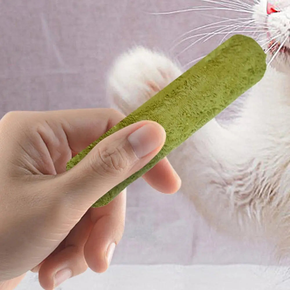 Cat Grass Teething Stick 5Pcs/bag Freeze-dried Cat Dog Snacks Stress Relief Cat Food For Small Medium Large Cats