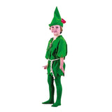 Disney Cartoon Green Elf Robin Hood Cosplay Halloween Costumes for Men Women Adult Clothing Carnival Party Ball Costume Kid Gift