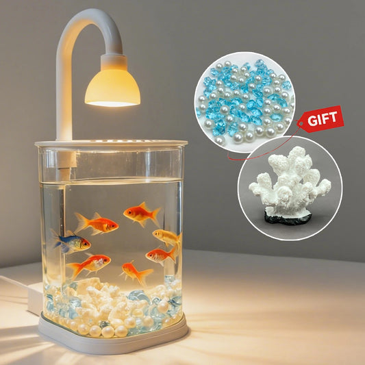 Starter Kit Small Fish Tank Fighting Fish Tank Tabletop Turtle Tank Goldfish Tank With Light Party Gift Idea For Kids