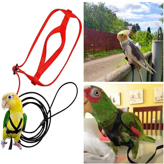 Anti-Bite Parrot Harness Leash Training Rope Bird Flying Leash for Pet Birds Durable Bird Harness Leash for Parrot