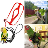 Anti-Bite Parrot Harness Leash Training Rope Bird Flying Leash for Pet Birds Durable Bird Harness Leash for Parrot