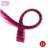 Synthetic One Card Hair Extension Wig Hair For Women Long Straight Clip-in Colored Zebra Line Feather Hair Extensions Fake Hair