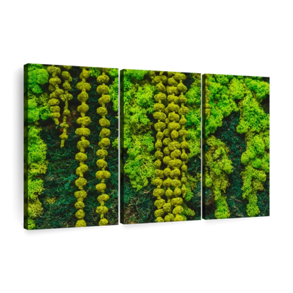 Artificial Green Plants Eternal Life Moss DIY Crafts Grass Garden Home Room Decor Mini Landscape Fake Grass 20/40/100g