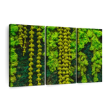 Artificial Green Plants Eternal Life Moss DIY Crafts Grass Garden Home Room Decor Mini Landscape Fake Grass 20/40/100g
