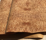 Láminas de chapa de madera de sable natural, 2,5 m de ancho, 200-550 mm, grosor: 0,25 mm, para audio doméstico, instrumentos musicales y decoración de automóviles.