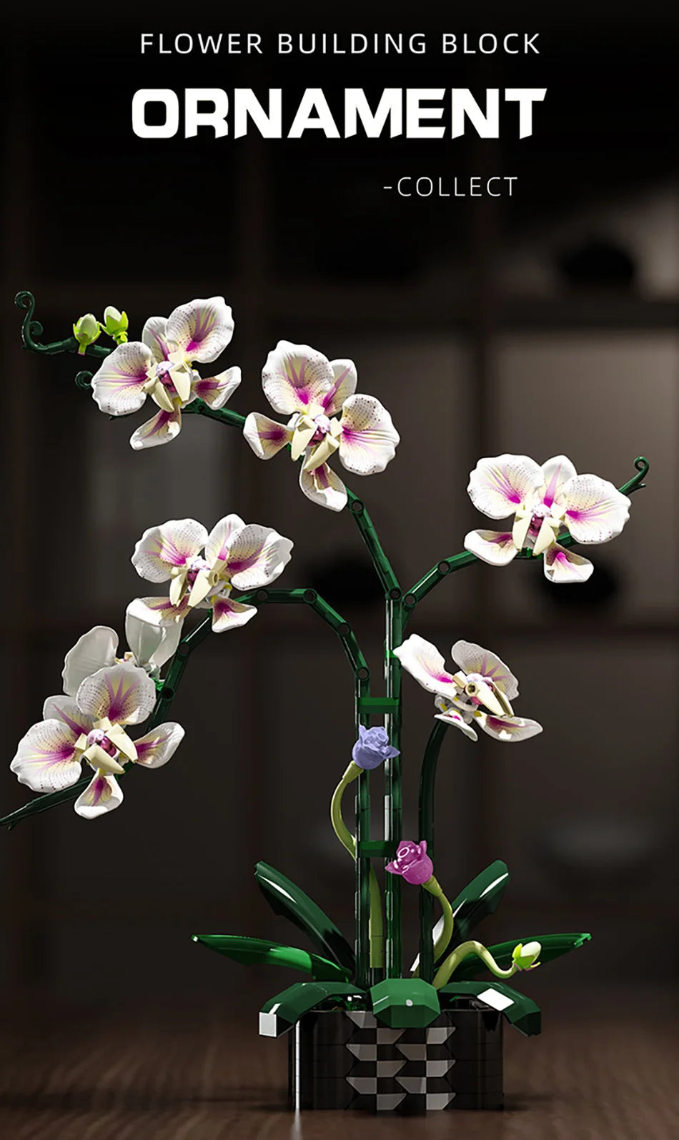 Creative Orchid Cymbidium Eternal Flowers Potted Plant Building Blocks Simulation Phalaenopsis DIY Bricks Toys Valentine's Gift
