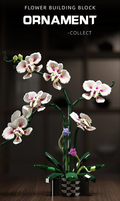 Creative Orchid Cymbidium Eternal Flowers Potted Plant Building Blocks Simulation Phalaenopsis DIY Bricks Toys Valentine's Gift