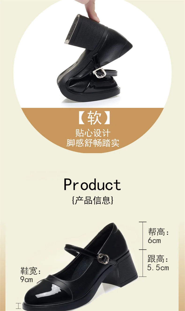 Women Shoes 2024 New Fashion Retro Round Toe Soft Leather Casual Mary Jane Shoes Shallow Mouth Waterproof Platform Shoes