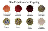 12Pcs Vacuum Cupping Sets with Pumping Gun Suction Cups Back Massage Body Cup Detox Anti Cellulite Cans Healthy Care Jars