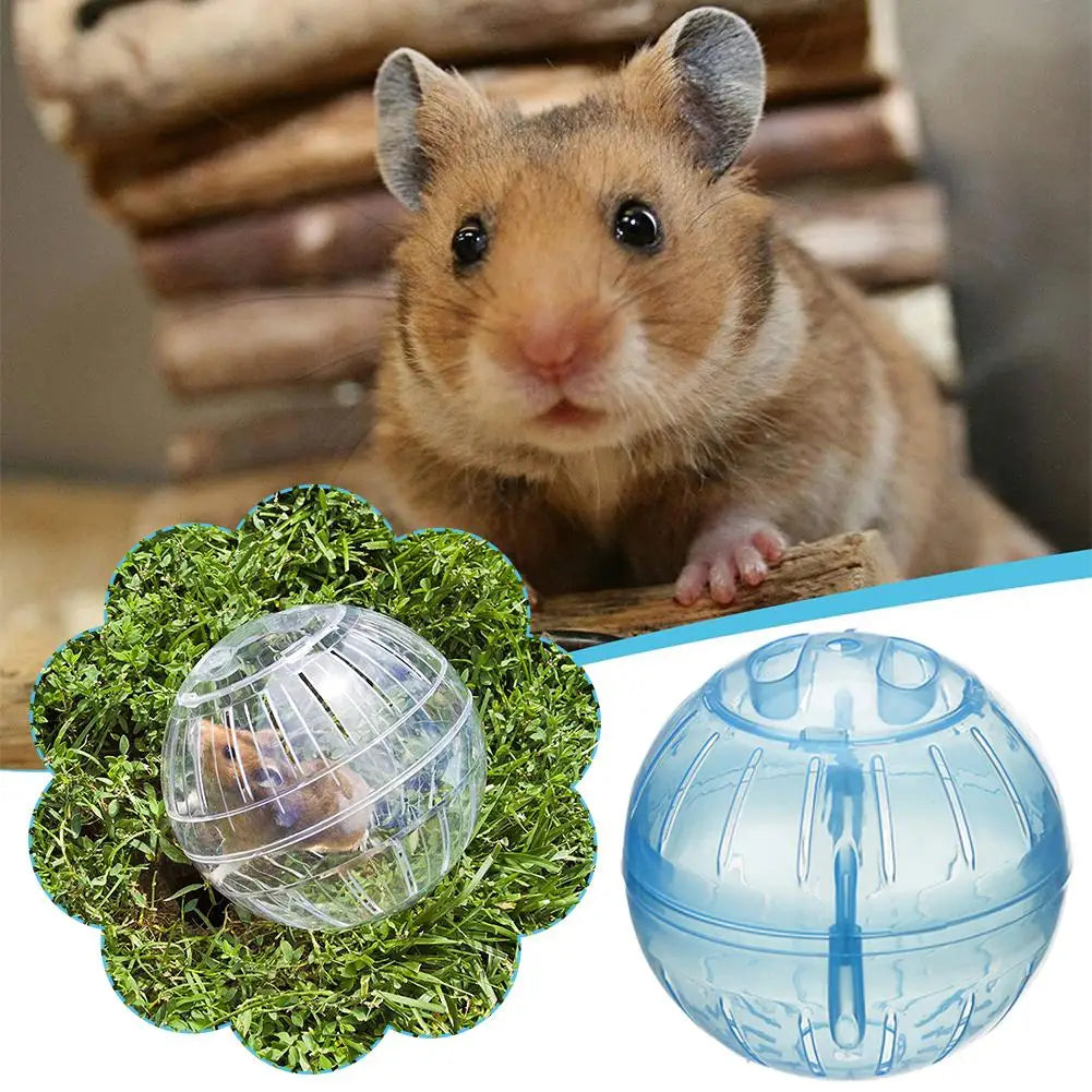 Transparent Acrylic Hamster Exercise Wheel Escape Proof Small Safe Portable Lightweight Multi Activity Pet Cage Design P5F9