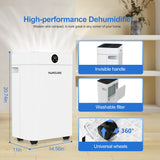 Dehumidifier 20 L, Dehumidifier Cellar Rooms with Digital Display, 24H Timer, Automatic Defrosting, Dry Clothes, Continuous Drai