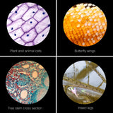 Microscopio óptico monocular 64X-2400X para niños de primaria, ciencias, biología experimental, microscopio digital