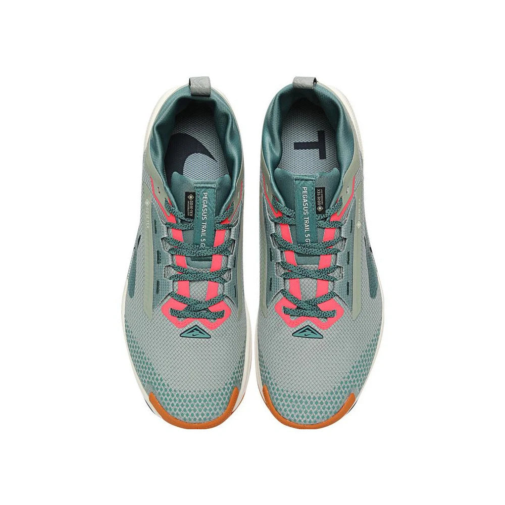 NIKE 2024 Men's NIKE PEGASUS TRAIL 5 GTX Running Sports Shoes FQ0908-300