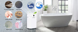 Dehumidifier 20 L, Dehumidifier Cellar Rooms with Digital Display, 24H Timer, Automatic Defrosting, Dry Clothes, Continuous Drai