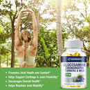 Glucosamine Chondroitin MSM Turmeric Boswellia - Antioxidant, Supports Joint and Bone HealthSupplement
