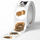 100pcs/500pcs Cartoon Meme Cat Stickers For School Reward Stickers Classroom Decor Encouragement Sticker For Student Teacher