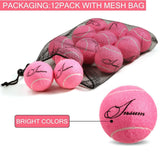 12pcs Tennis Balls with Mesh Carry Bag Practice Ball High Elasticity Pet Dog Playing Balls Outdoor Training Sports Rubber Tennis