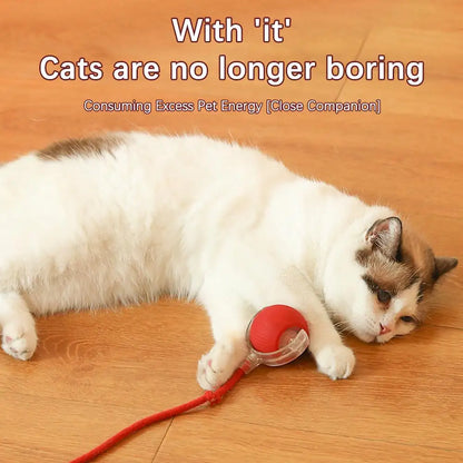Interactive Rolling Balls for Cats, Super Drive, Bird Chewing, Movimento Ativado, Sensor, Pet, Gatinho, Teaser Game, Toy