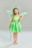 Girls Disney Party Dresses Fairy Tiana Costume for Girl Tinkerbell Children Clothing Princess Elf Birthday Ball Gown Wing Dresse