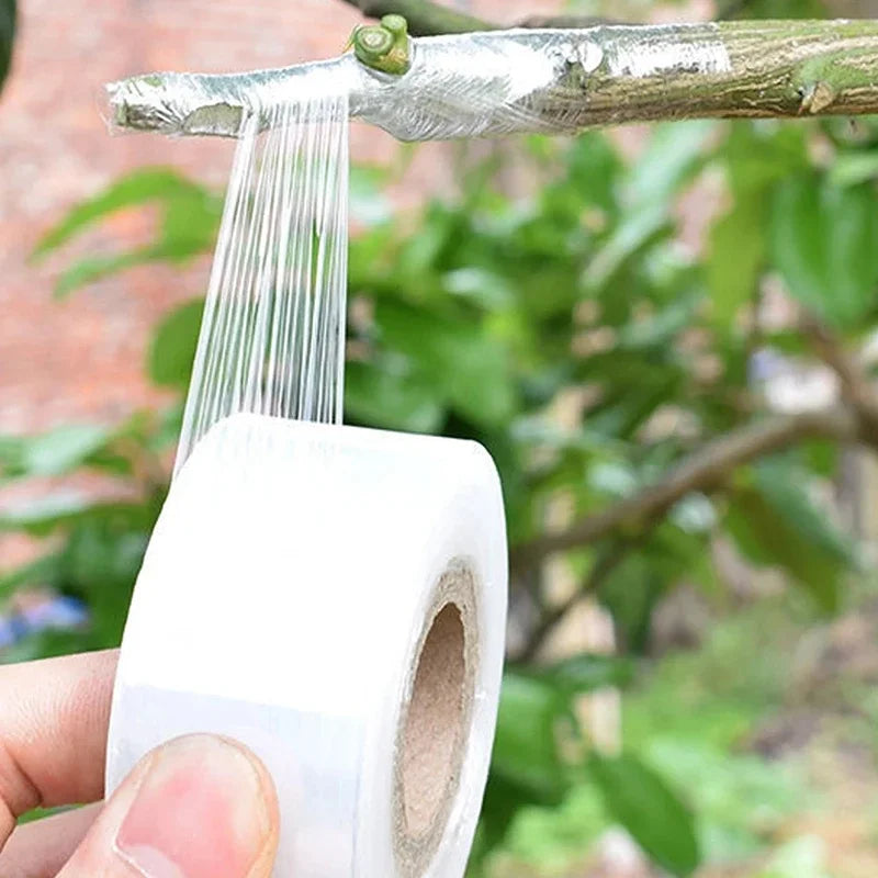 Cinta de injerto flexible de polietileno autoadhesiva, rollo de cinta para injertar árboles y plantas, estirable, 3/4 cm de ancho, 1 unidad.