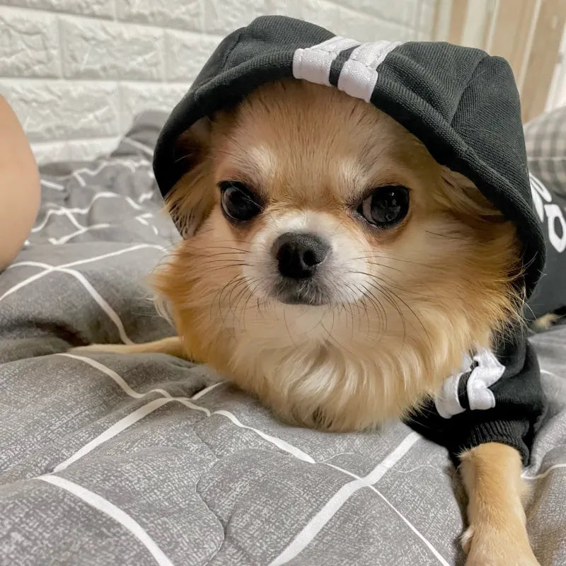 Ropa para perros Adidog, sudaderas con capucha para perros, abrigo cálido de otoño e invierno para perros grandes, chaqueta, suéter, ropa para cachorros, Bulldog Francés