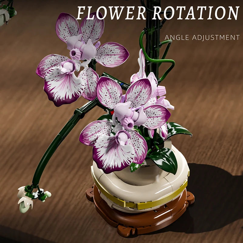 Creative Orchid Cymbidium Eternal Flowers Potted Plant Building Blocks Simulation Phalaenopsis DIY Bricks Toys Valentine's Gift