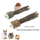 Natural Apple Tree Wood Pet Parrot Raw Wood Fork Tree Branch Stand Rack Squirrel Bird Hamster Branch Perches Chew Bite Toys