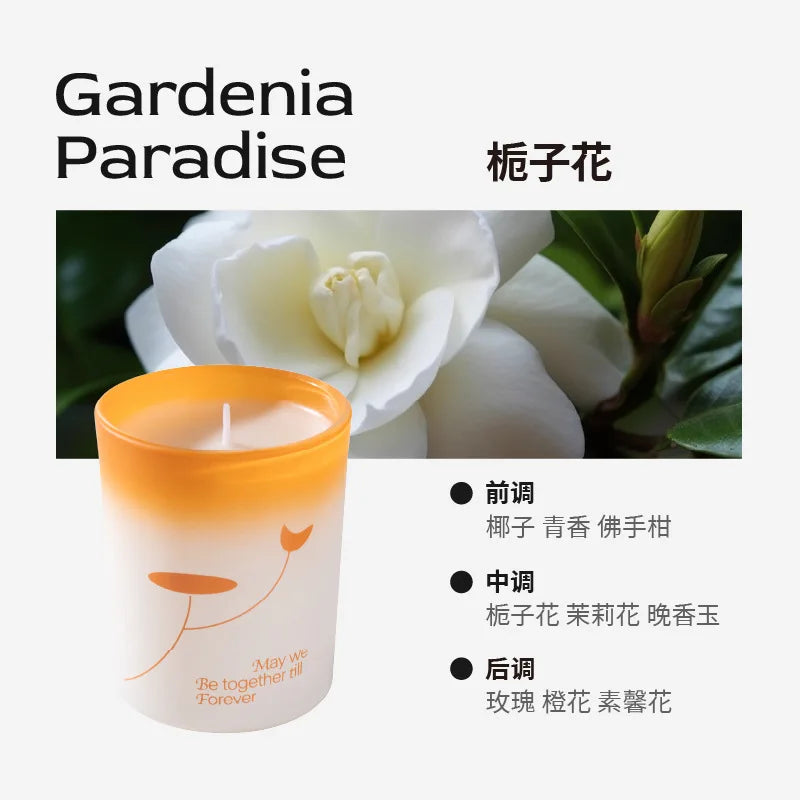 Aromatic Jar Candles for Room Decor, Ebony Sandalwood Scented Candle, Guest Gift Souvenir Candles