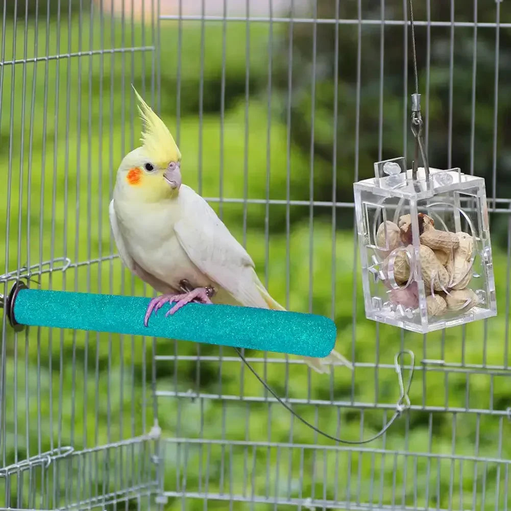 Barra para afilar picos y garras de pájaro, palo de pie, estación para loros, suministros para pájaros, soporte para afilar garras de loro, accesorios para jaulas
