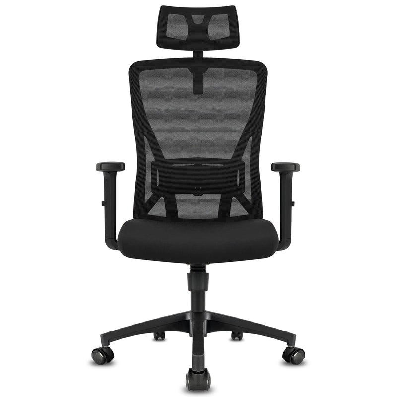 Durrafy Ergonomic Office Chair, Office Chairs, Desk Chair with adjustable headrest, Armrests, 150KG load capacity, Black
