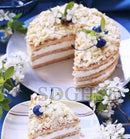 Culinary Robots Candy Home Food Processing Electric Meat Grinder Mixer Kitchen Mixers Appliances Blender the Dough Machine