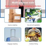 Electronic 50Kg 10g Hanging Scale LCD Kitchen Digital Scale Backlight Fishing Weights Pocket Scale Travel Luggage Scales
