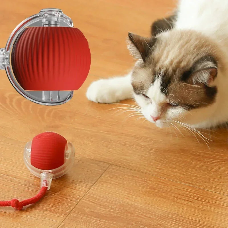 Juguetes eléctricos de pelota para gatos, bola rodante automática, cola sintética, recargable, juguete interactivo inteligente para mascotas, adiestramiento de perros y gatos, ratón de imitación