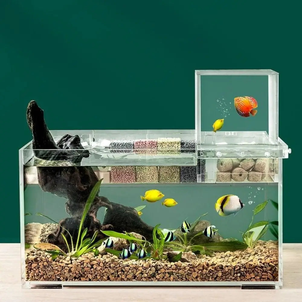 Landscaping Negative Pressure Fish Tank Easy to Install Eye-catching Acrylic Suspended Fish Tank Unique