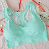 Sujetador deportivo transpirable para mujer, absorbe el sudor, resistente a los golpes, acolchado, ideal para gimnasio, running, fitness, doble capa, sin costuras, yoga y ropa interior. 