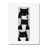 Cute Cats Pop Illustration Prints Canvas Painting Aesthetic Wall Art Pictures Home Room Dec Abstract Black Cat Drawing Poster