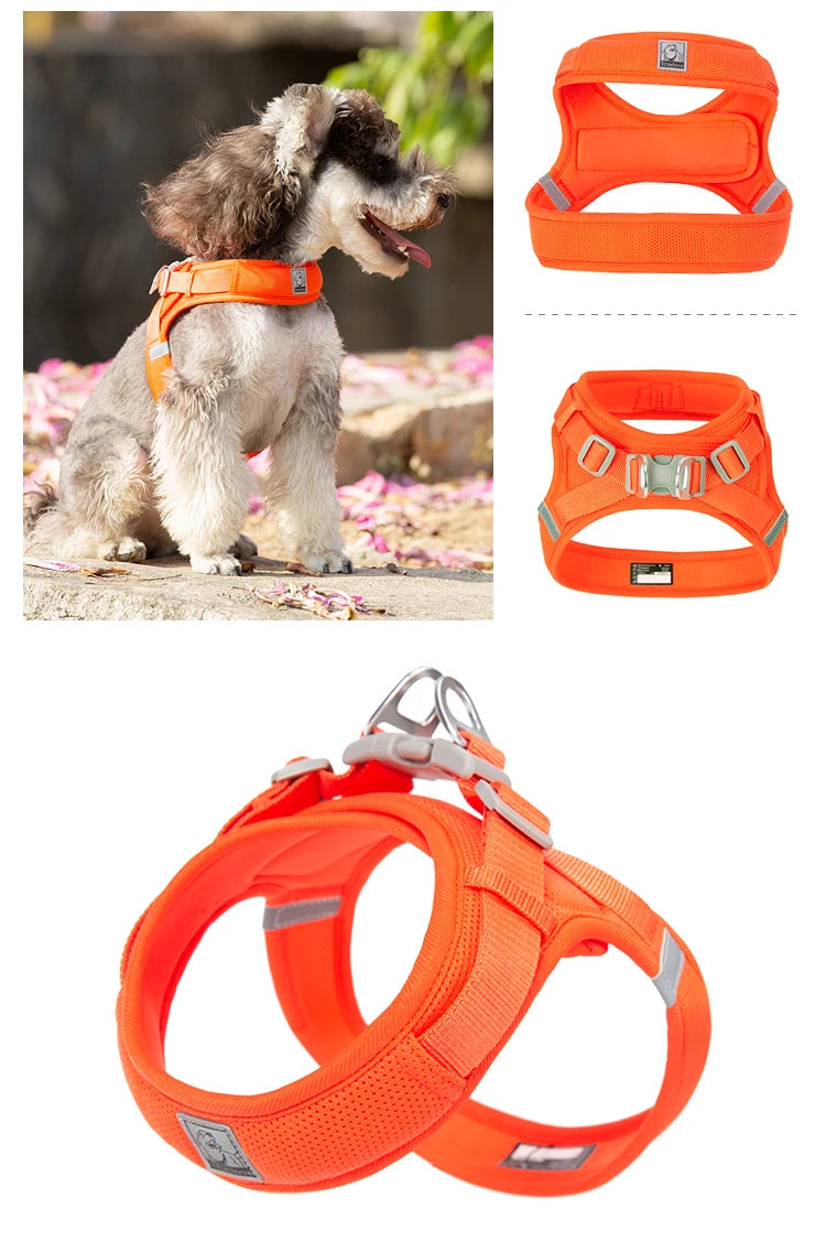 Truelove Pet harness For small and medium Dog Breathable Nylon Mesh Outdoor Training Adjustable Chest Heavy Duty TLH3013