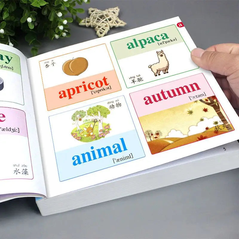 Children's English Words for Daily Life, Oral English Conversation, Vocabulary, Beginner's Book, Children's English