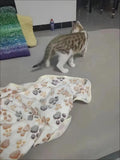 Warm Pet Cat Blanket Autumn Winter Cozy Thicken Fleece Kitten Footprint Bed Mat for Small Medium Big Cats Dog Chihuahua Supplies
