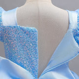 Disney Deluxe Elegant Cinderella Princess Ball Gown Fancy Birthday Cinderella Party Dress Vestidos Costume Play Carnival Apparel