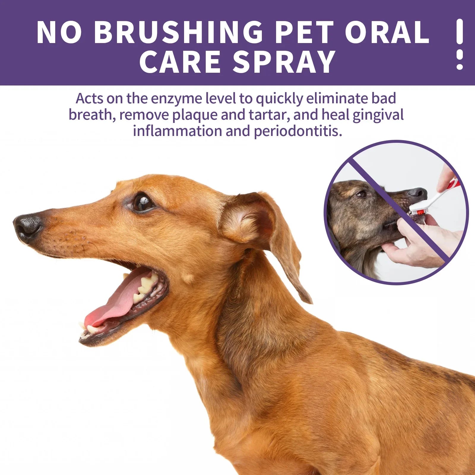 50ml Pet Oral Cleanse Spray Dogs Cats Teeth Clean Deodorant Prevent Calculus Remove Kitten Bad Breath Pet Supplies Freshen Breath